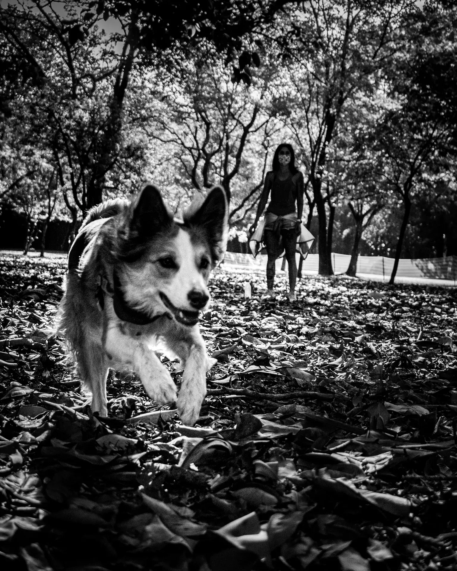 Street Photography — foto 23